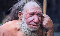 Неандертальцы, возможно, использовали свои руки иначе, чем люди
